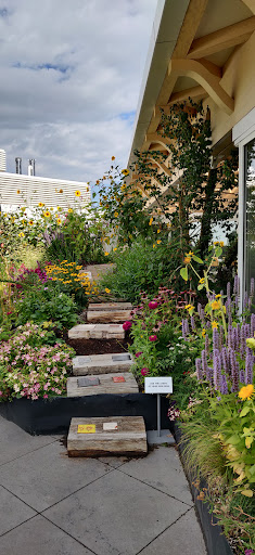 Art Museum «Aspen Art Museum», reviews and photos, 637 E Hyman Ave, Aspen, CO 81611, USA