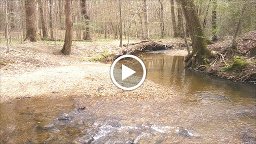 Park «Fairland Regional Park», reviews and photos, 13950 Old Gunpowder Rd, Laurel, MD 20707, USA