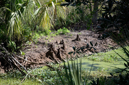 Tourist Attraction «Forever Florida», reviews and photos, 4755 North Kenansville Road, St Cloud, FL 34773, USA