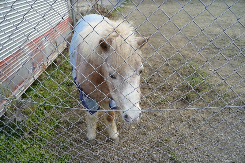 山口大学 動物医療センター