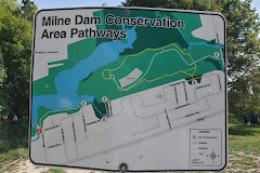 Milne Dam Conservation Park