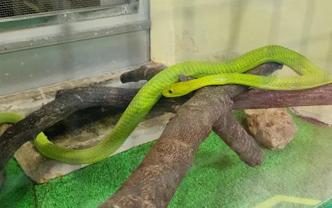 Japan Snake Center image