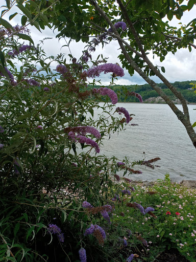 Park «Quiet Cove Riverfront Park», reviews and photos, 1 Clear Water Dr, Poughkeepsie, NY 12601, USA