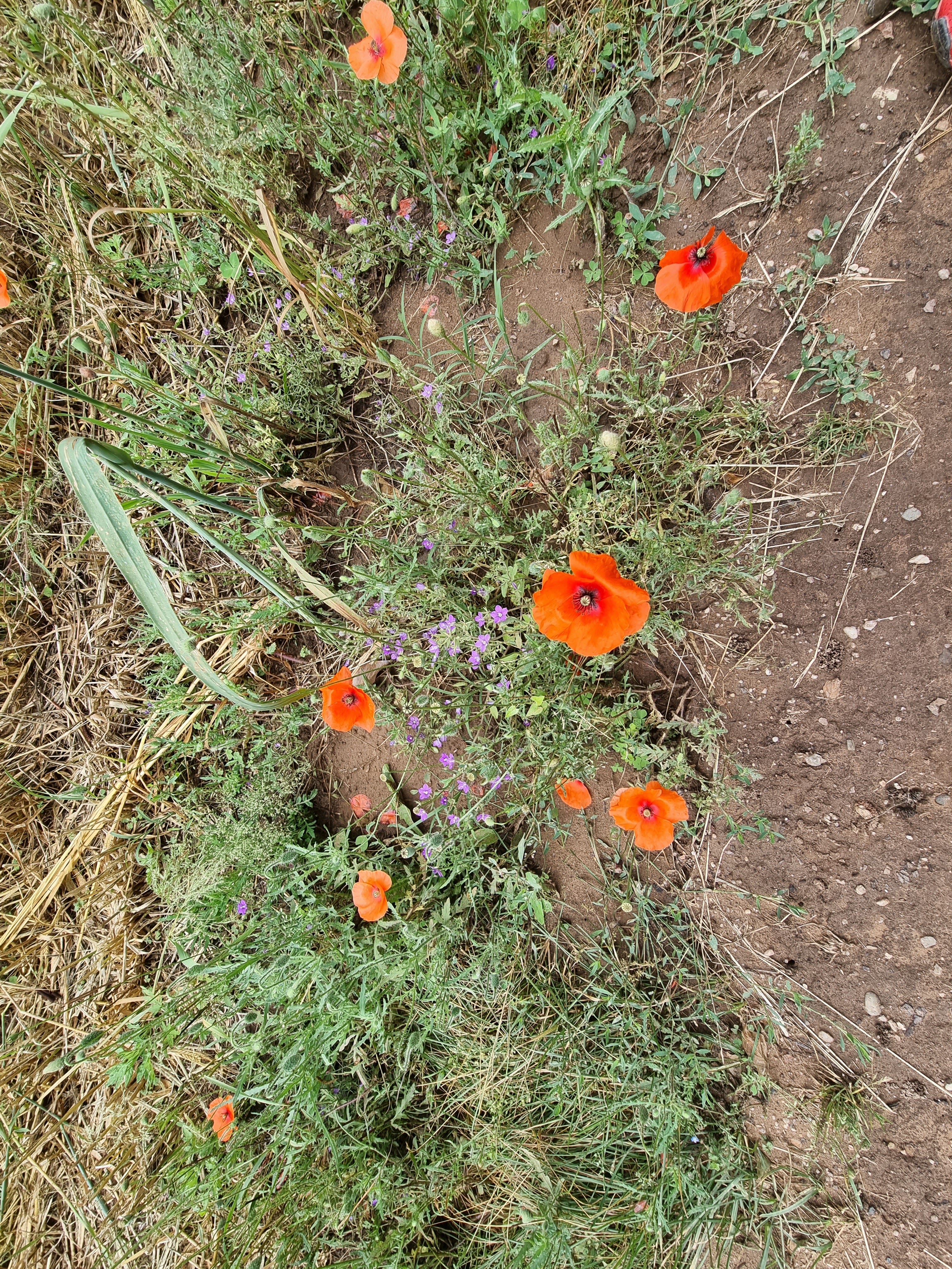Photo n° 9 de l'avis de Laetitia.a fait le 12/06/2022 à 21:27