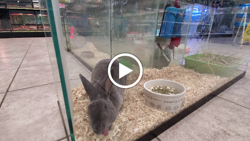 Pet Store «Suncoast Pets», reviews and photos, 7117 US-98, Panama City Beach, FL 32407, USA