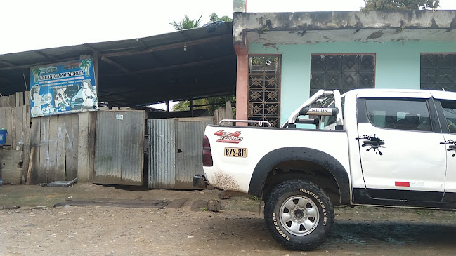 Mecánica palmeritas