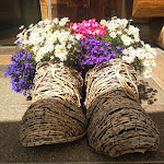 Photo n°4 de l'avis de Marco.a fait le 21/08/2021 à 17:13 sur le  Baita Vallongia à Sëlva