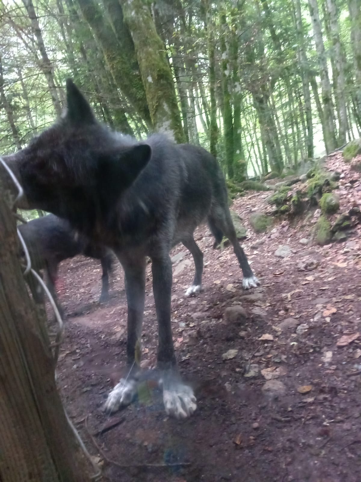 Photo n° 3 de l'avis de celine.u fait le 28/07/2023 à 12:40