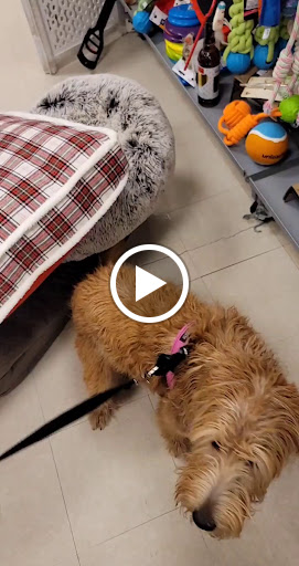 Department Store «Marshalls», reviews and photos, 3485 Steelyard Dr, Cleveland, OH 44109, USA