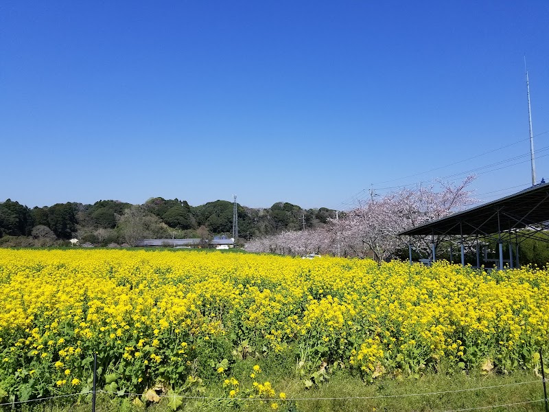 （有）高秀牧場