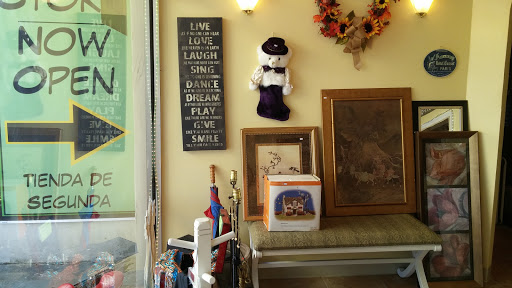 Thrift Store «Thrifty Nickel Tampa Thrift Store Re-Sale», reviews and photos, 7706 W Hillsborough Ave, Tampa, FL 33615, USA