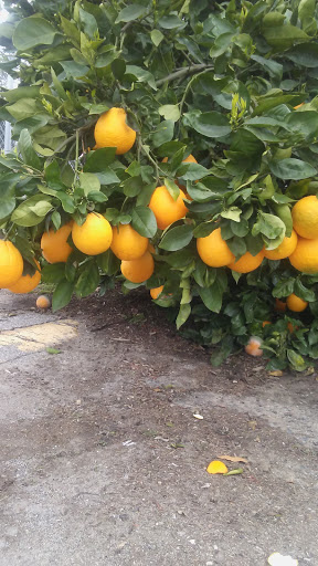 Food Bank «Second Harvest Food Bank of Orange County, Inc.», reviews and photos