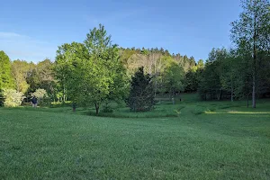 Flip City Disc Golf Park image