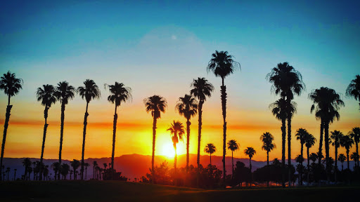 Golf Course «Desert Falls Country Club», reviews and photos, 1111 Desert Falls Pkwy, Palm Desert, CA 92211, USA