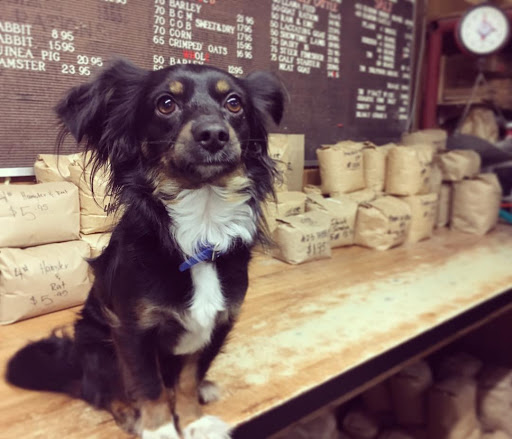 Pet Supply Store «Elverta Feed Pet & Tack Inc», reviews and photos, 7831 Rio Linda Blvd, Elverta, CA 95626, USA