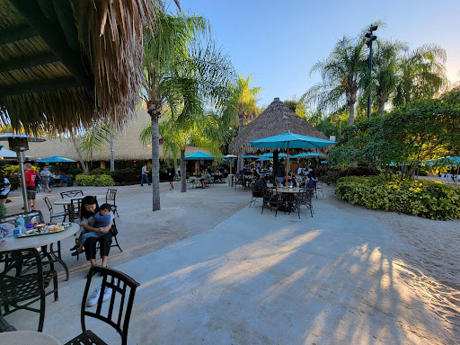 Water Park «Discovery Cove», reviews and photos, 6000 Discovery Cove Way, Orlando, FL 32821, USA