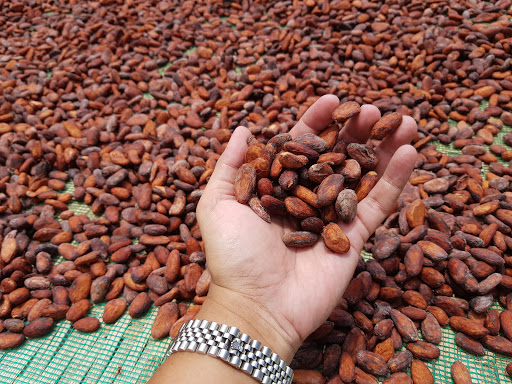 Top 20 cửa hàng bán socola Huyện Châu Thành Trà Vinh 2022