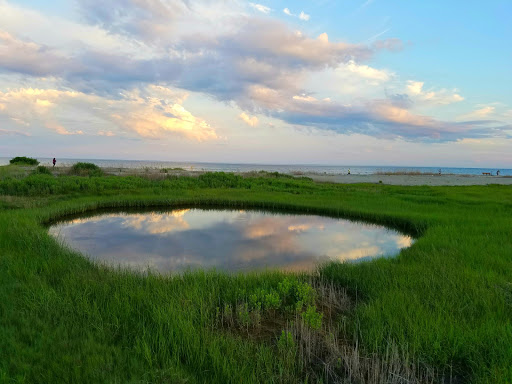 State Park «Silver Sands State Park», reviews and photos, 1 Silver Sands Park Way, Milford, CT 06460, USA