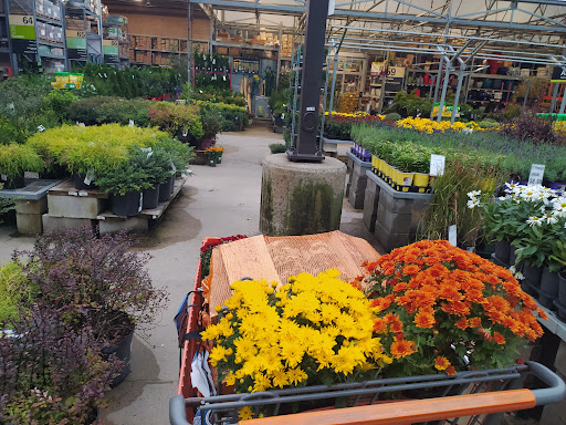 Home Improvement Store «The Home Depot», reviews and photos, 3700 NJ-35, Hazlet, NJ 07730, USA