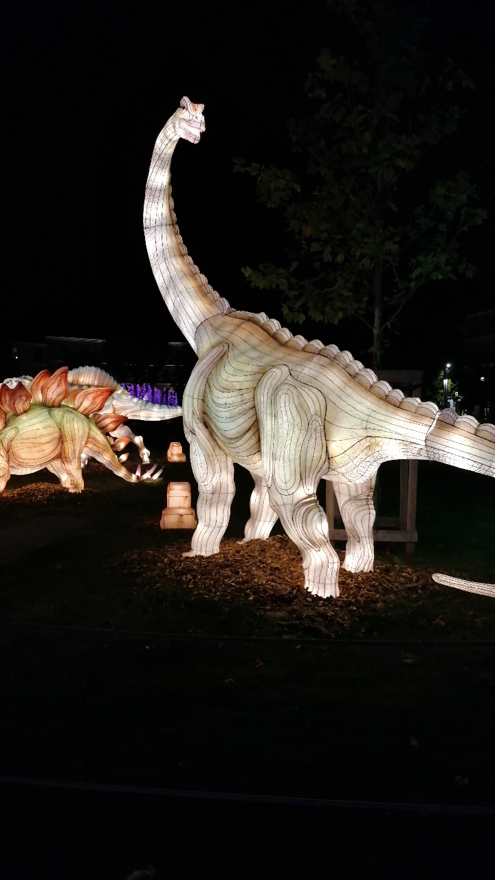 Photo n° 15 de l'avis de Perrine.o fait le 01/09/2021 à 19:45