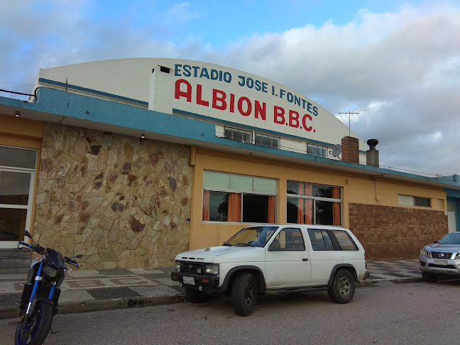 Albion b.b.c - Maldonado