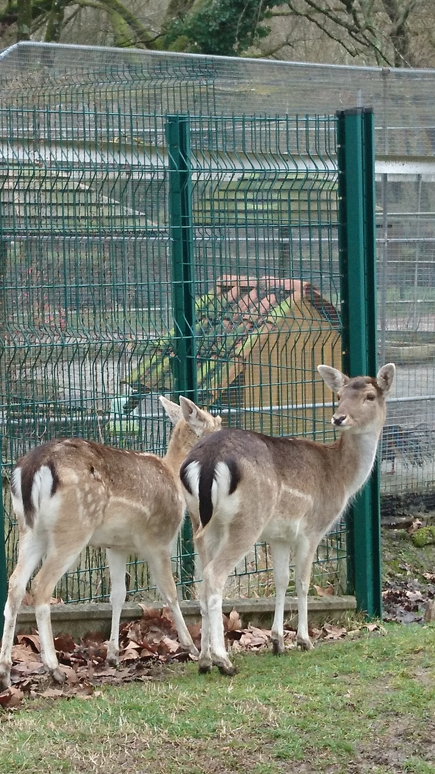 Photo n° 1 de l'avis de martine.a fait le 16/02/2018 à 13:19