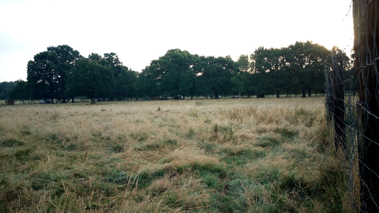 Photo n° 2 de l'avis de Emilie.i fait le 27/07/2018 à 05:46