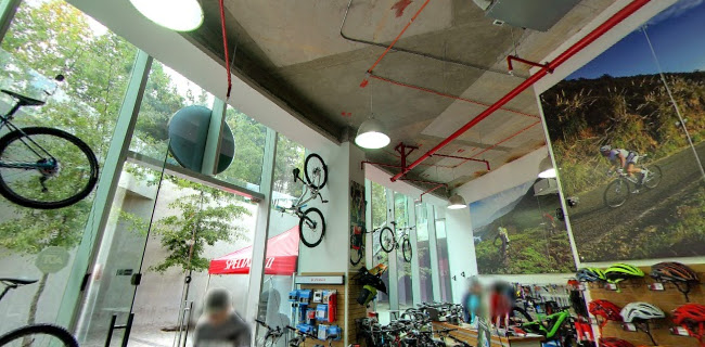 Bike Authority - Specialized - Las Condes