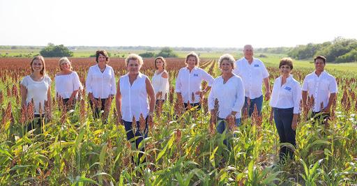 Real Estate Agency «Coldwell Banker Homestead Properties Inc», reviews and photos