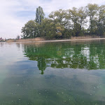 Photo n°3 de l'avis de Peter.. fait le 30/04/2022 à 17:57 sur le  Sandseele Restaurant mit Uferterrasse à Reichenau