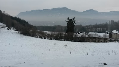 Michel Arnaud Expertises à Chambéry