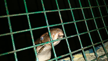 Snake Rescue and Rehabilitation Centre