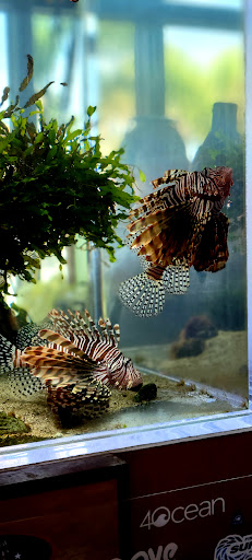 Marina «Sunrise Fish Dive Surf», reviews and photos, 505 Glen Cheek Dr, Port Canaveral, FL 32920, USA