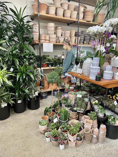 Florist «Englewood Florist, Inc.», reviews and photos, 47 E Palisade Ave, Englewood, NJ 07631, USA