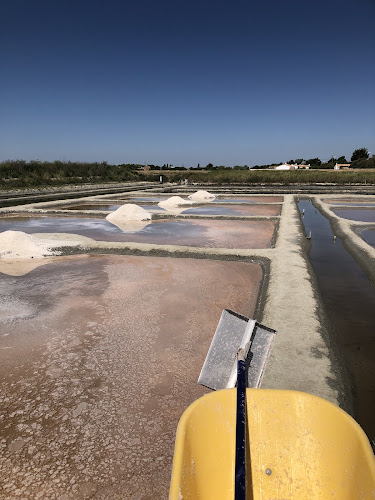 Marais salant les Boucheaux à Beauvoir-sur-Mer