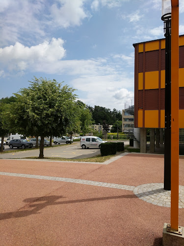 Rezensionen über Ecole publique Primaire de Chantemerle in Freiburg - Schule