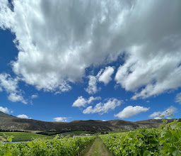 Creation Wines photo
