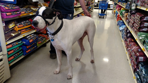 Pet Supply Store «PetSmart», reviews and photos, 3501 Catclaw Dr, Abilene, TX 79606, USA