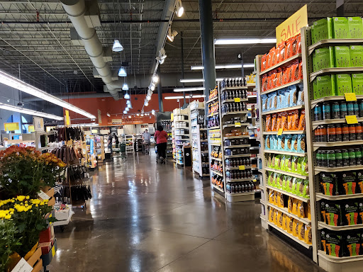 Grocery Store «Whole Foods Market», reviews and photos, 801 E Lamar Blvd, Arlington, TX 76011, USA