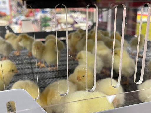 Home Improvement Store «Tractor Supply Co.», reviews and photos, 454 Hamlin Hwy #100a, Lake Ariel, PA 18436, USA