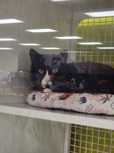 Pet Supply Store «Petco Animal Supplies», reviews and photos, 1483 NJ-23 #14b, Kinnelon, NJ 07405, USA