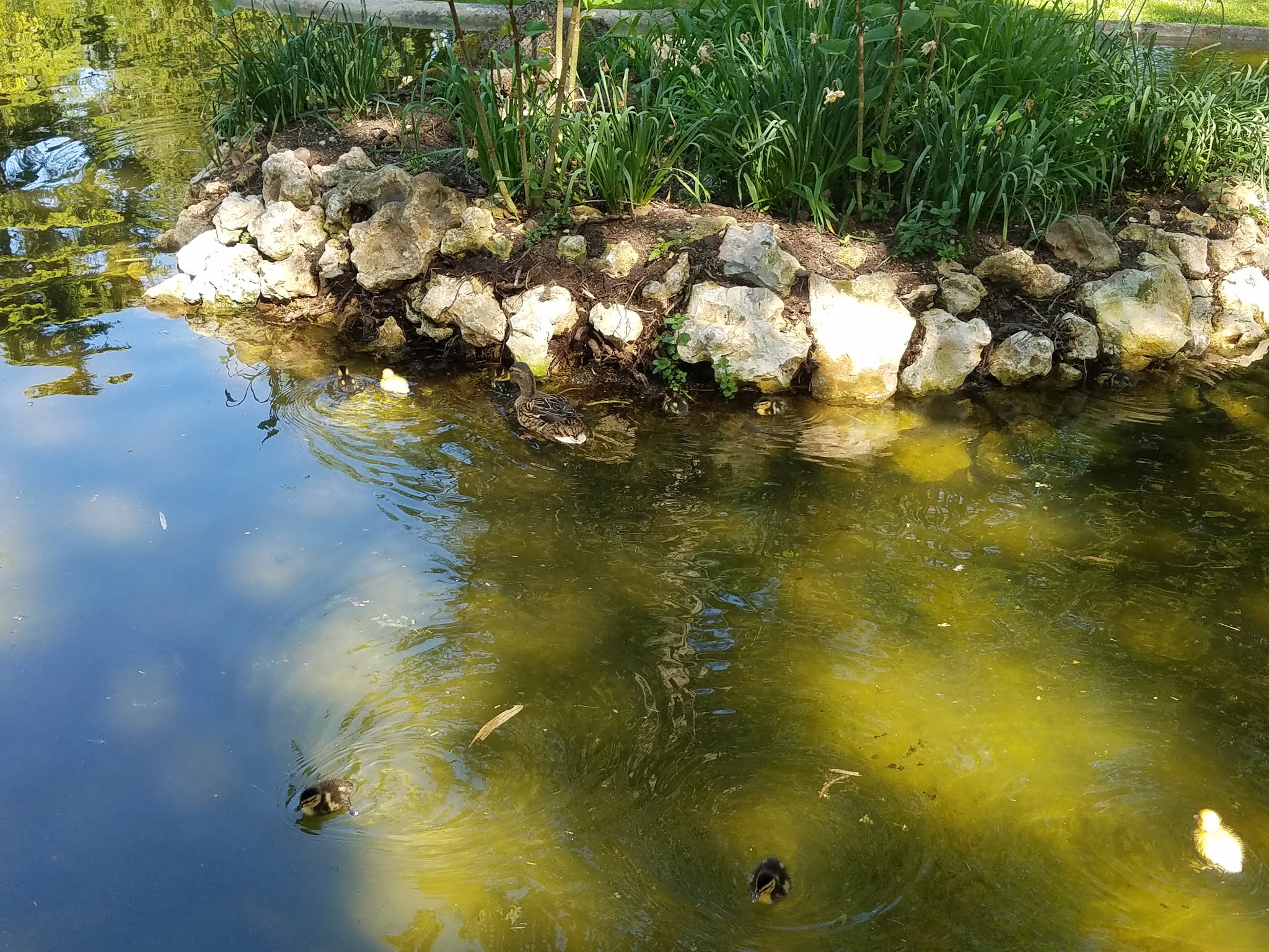 Photo n° 5 de l'avis de Elo.i fait le 14/09/2019 à 15:15