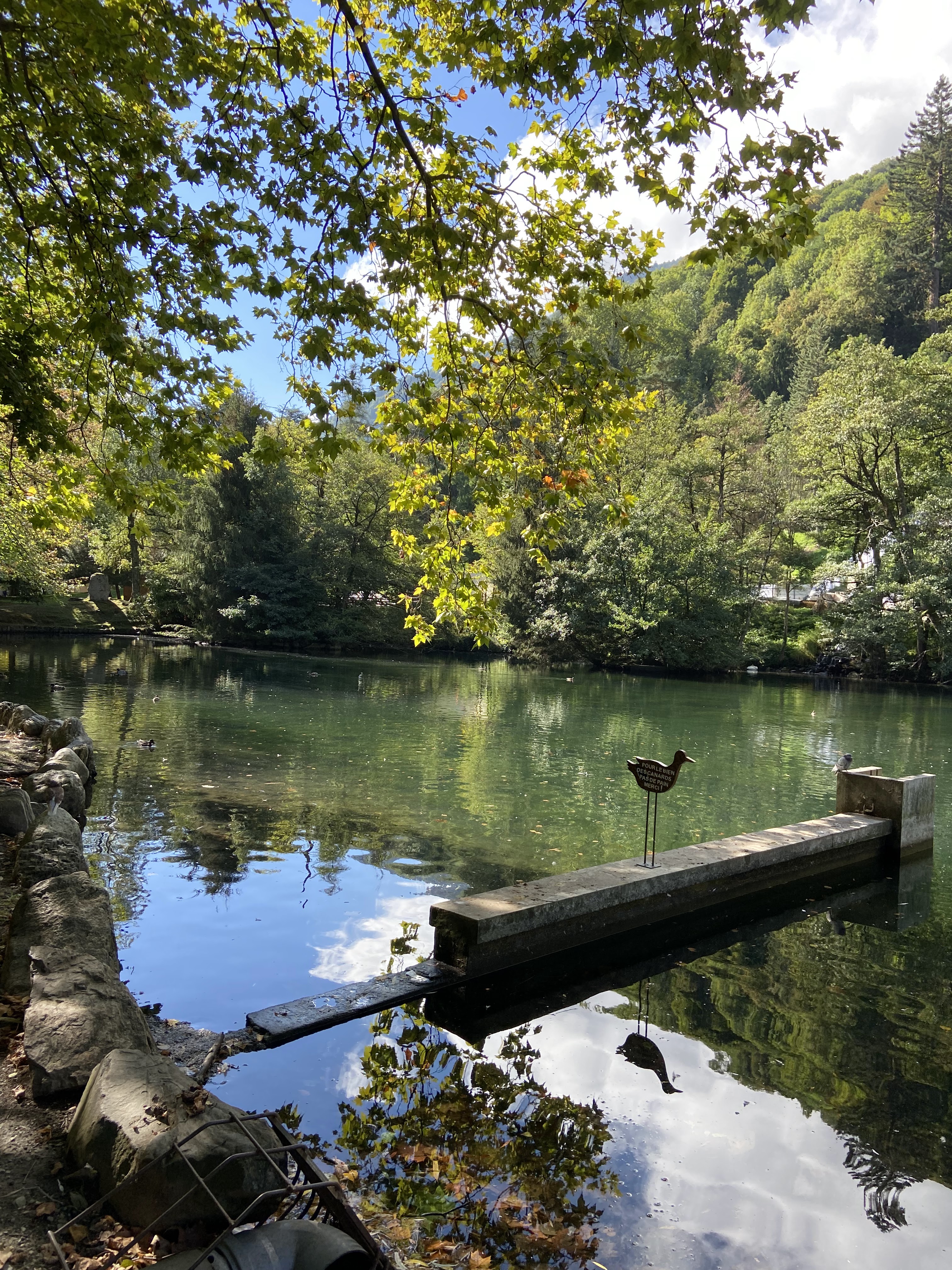 Photo n° 2 de l'avis de Àlex.� fait le 17/09/2022 à 12:49