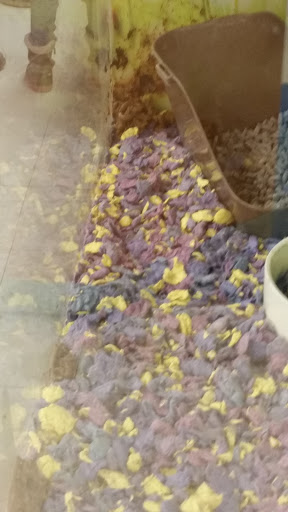 Pet Supply Store «Petco Animal Supplies», reviews and photos, 8010 Wedgewood Ln N, Maple Grove, MN 55369, USA