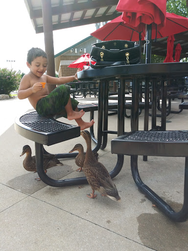 Water Park «Rock River Rapids Aquatic Park», reviews and photos, 1900 E James St, Derby, KS 67037, USA