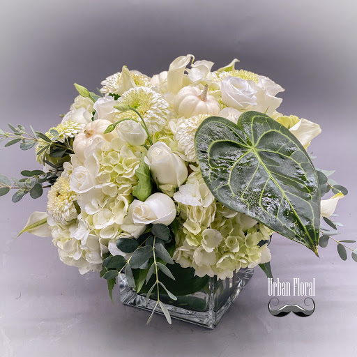 Florist «Urban Floral», reviews and photos, 671 Meriden Rd, Waterbury, CT 06705, USA