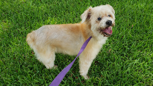 Animal Shelter «SPCA of Brazoria County», reviews and photos