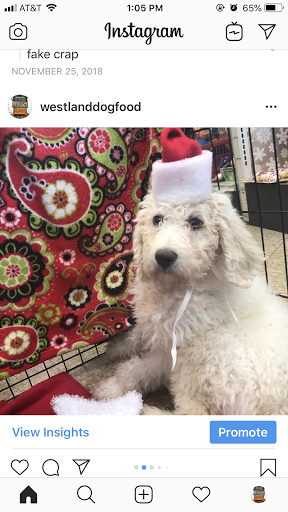 Pet Supply Store «Westland Dog Food Co Inc», reviews and photos, 37687 Ford Rd, Westland, MI 48185, USA