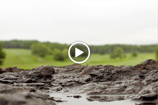 Golf Course «William J. Devine Golf Course at Franklin Park», reviews and photos, 1 Circuit Dr, Dorchester, MA 02121, USA