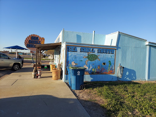 Gift Shop «Sea Shell Shoppe», reviews and photos, 120 N Austin St, Rockport, TX 78382, USA